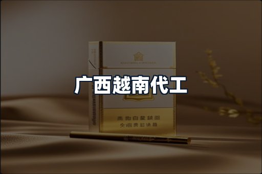广西越南代工